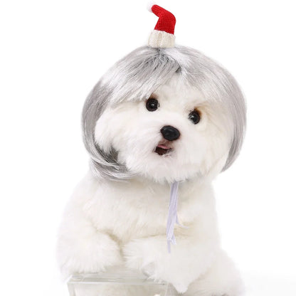 Costume Wig for Cats and Dogs