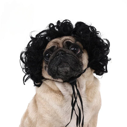 Costume Wig for Cats & Dogs - We Wuv Pets