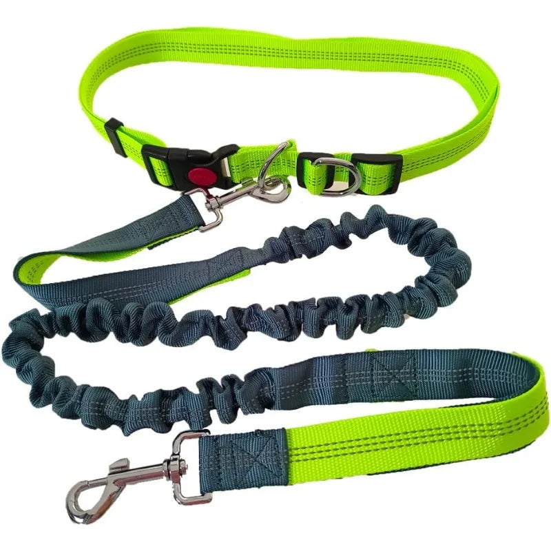 Hands-Free Chest Strap Leash for Dogs