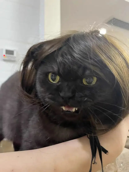Costume Wig for Cats and Dogs