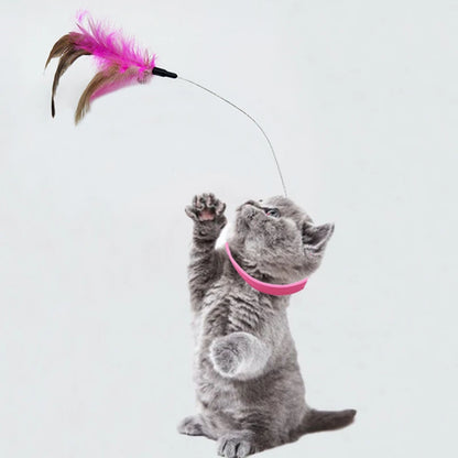 Feather Bell Cat Collar Toy