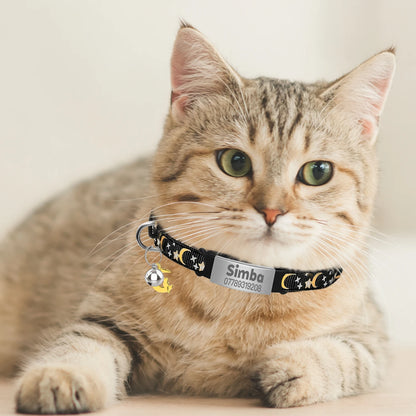Personalised Glow-in-the-Dark Cat Collar with ID Tag - We Wuv Pets
