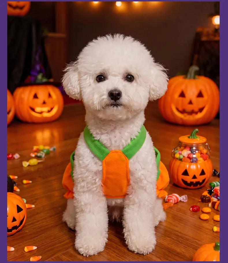 Pumpkin Overall Dress for Small Dogs and Cats
