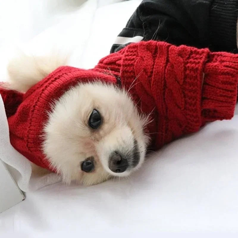 Knitted Winter Hat & Scarf Set for Dogs - We Wuv Pets