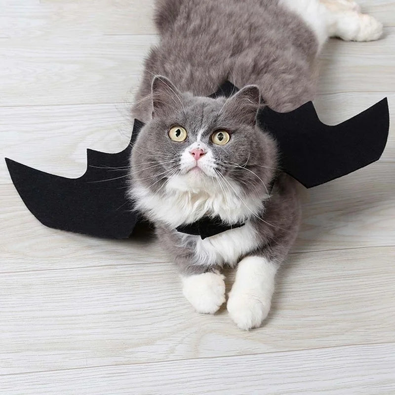 Bat Wings Harness Costume for Cats & Dogs - We Wuv Pets