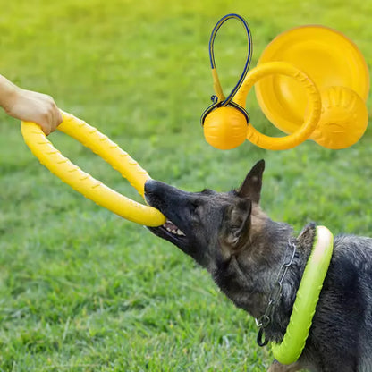 Bite-Resistant Frisbee Dog Toy
