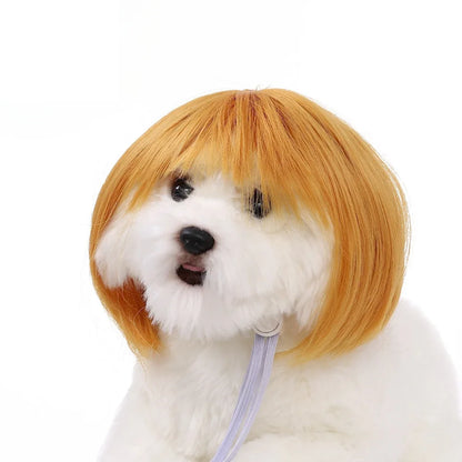 Costume Wig for Cats and Dogs