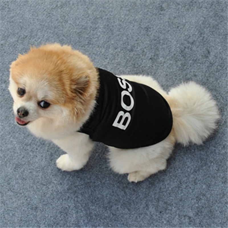 Lightweight Summer Vest for Small Dogs - We Wuv Pets