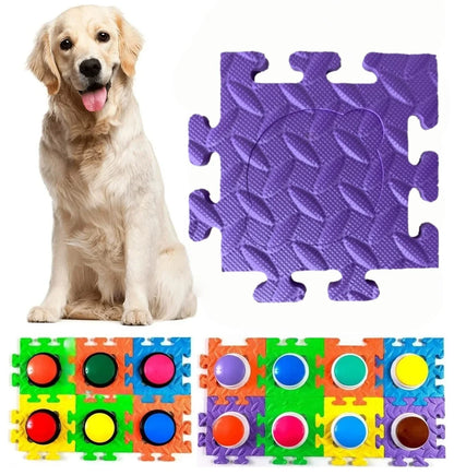 Interactive Training Button Pad