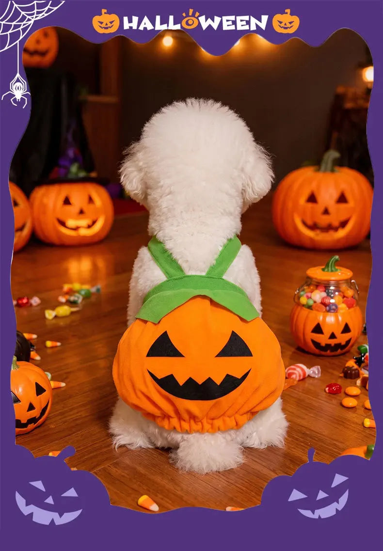 Pumpkin Overall Dress for Small Dogs & Cats - We Wuv Pets