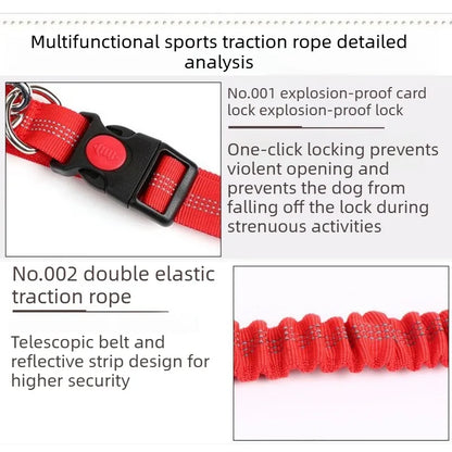 Hands-Free Chest Strap Leash for Dogs