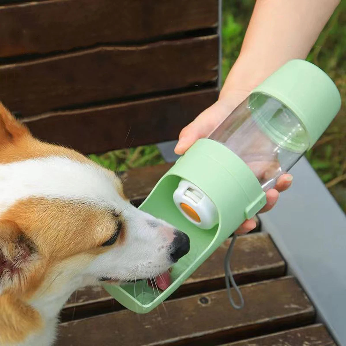 Portable Pet Water Bottle & Feeder