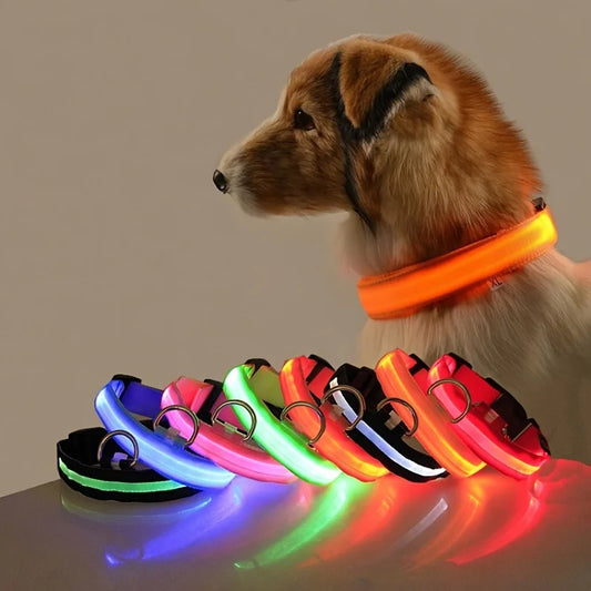 LED Glow-in-the-Dark Dog Lead - We Wuv Pets