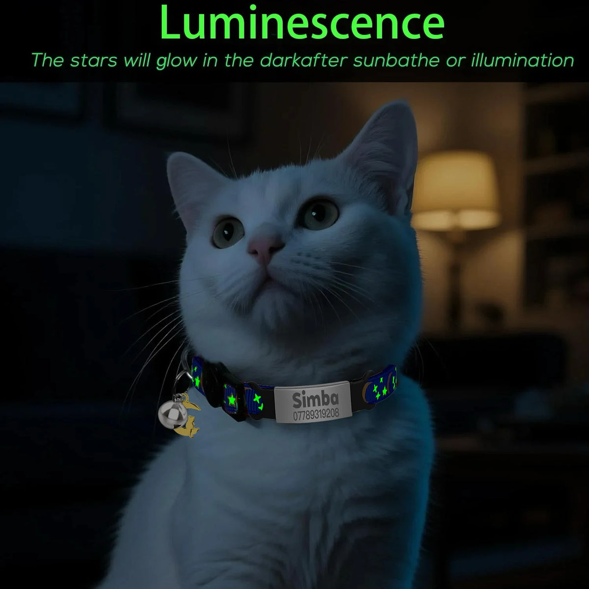 Personalised Glow-in-the-Dark Cat Collar with ID Tag - We Wuv Pets
