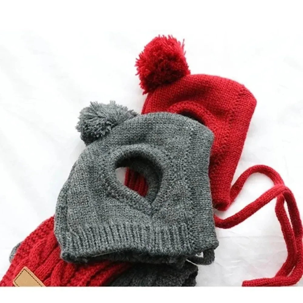 Knitted Winter Hat & Scarf Set for Dogs - We Wuv Pets