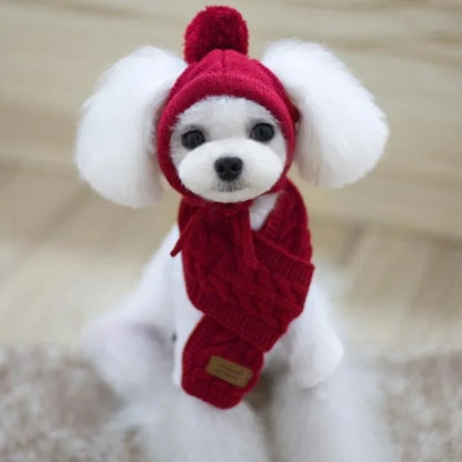 Knitted Winter Hat & Scarf Set for Dogs - We Wuv Pets