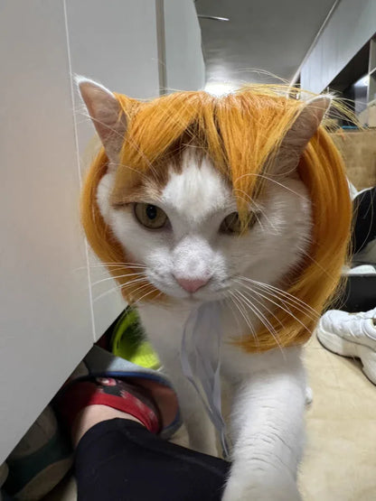 Costume Wig for Cats & Dogs - We Wuv Pets