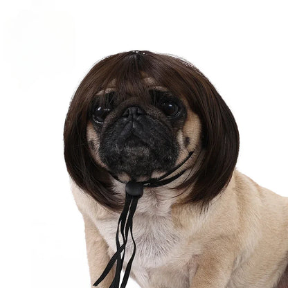 Costume Wig for Cats & Dogs - We Wuv Pets