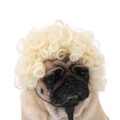 Costume Wig for Cats & Dogs - We Wuv Pets