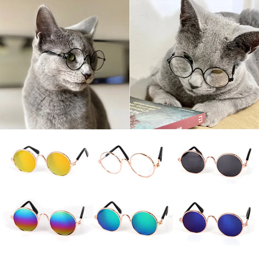 Novelty Pet Sunglasses - We Wuv Pets