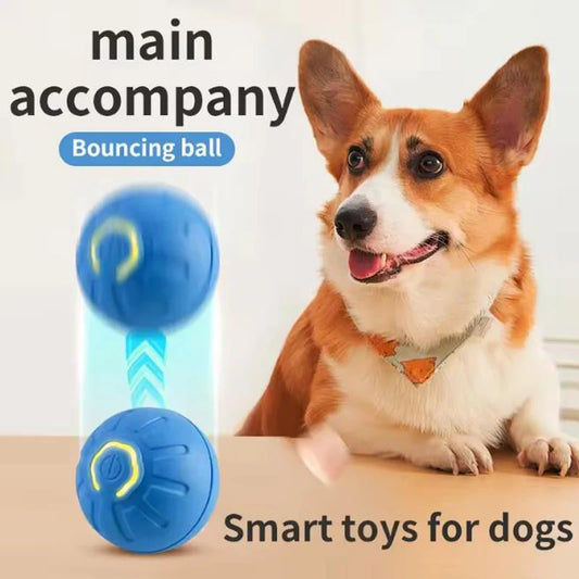 USB Rechargeable Bouncing Ball Dog Toy - We Wuv Pets