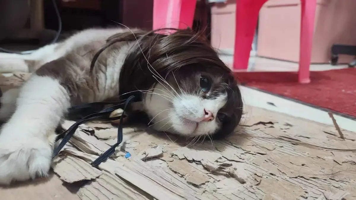 Costume Wig for Cats and Dogs