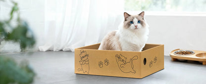 Cardboard Cat Scratcher Pads, 5 Pack - We Wuv Pets
