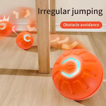 USB Rechargeable Bouncing Ball Dog Toy