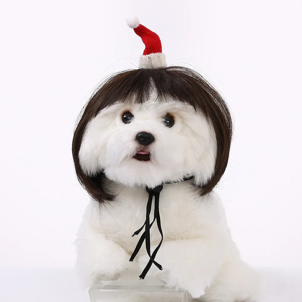 Costume Wig for Cats and Dogs