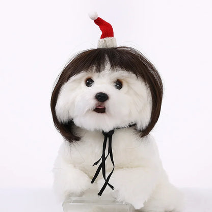 Costume Wig for Cats and Dogs