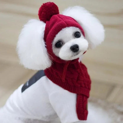 Knitted Winter Hat & Scarf Set for Dogs - We Wuv Pets