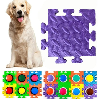 Interactive Training Button Pad