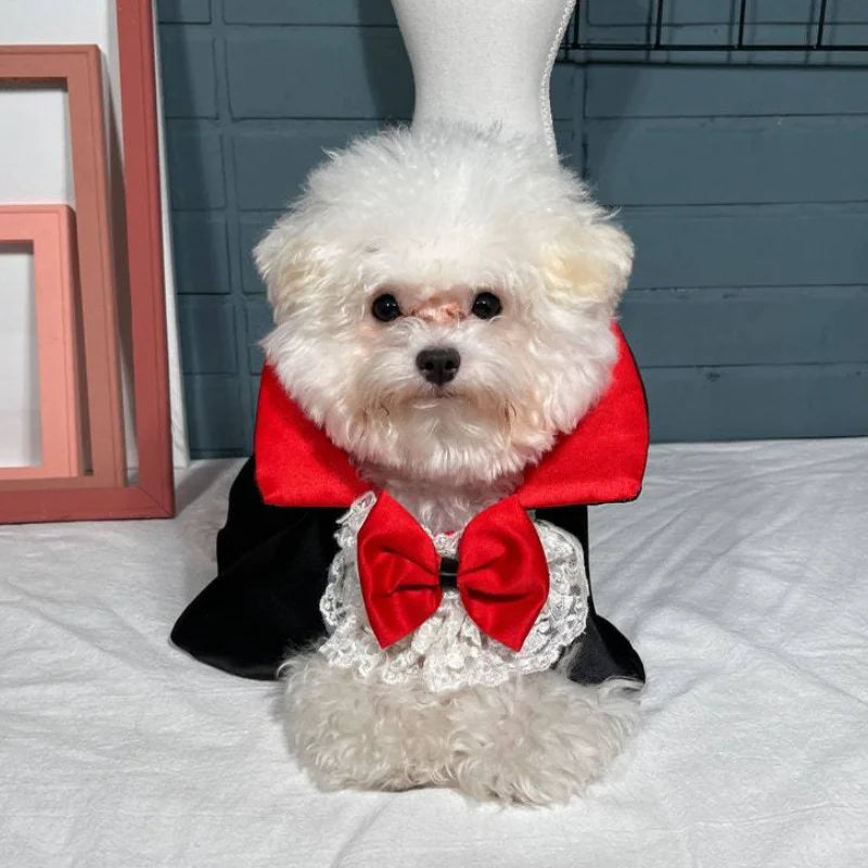 Vampire Cape Costume for Dogs - We Wuv Pets