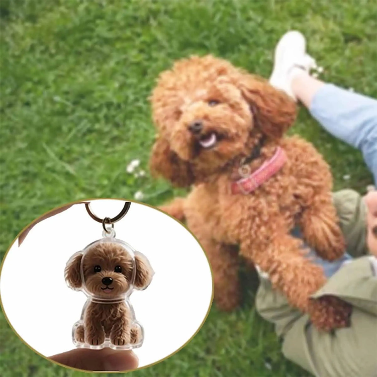 Pet Hair Keepsake Pendant Keychain - We Wuv Pets