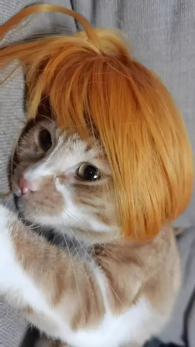 Costume Wig for Cats and Dogs