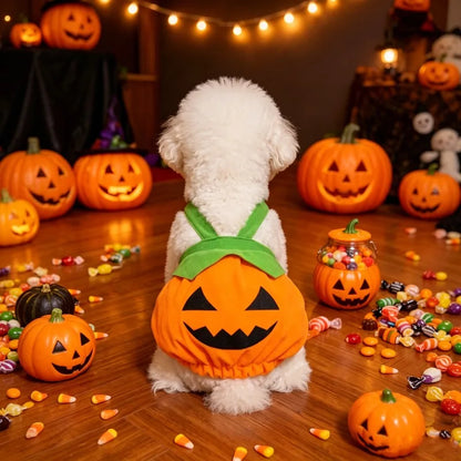 Pumpkin Overall Dress for Small Dogs & Cats - We Wuv Pets