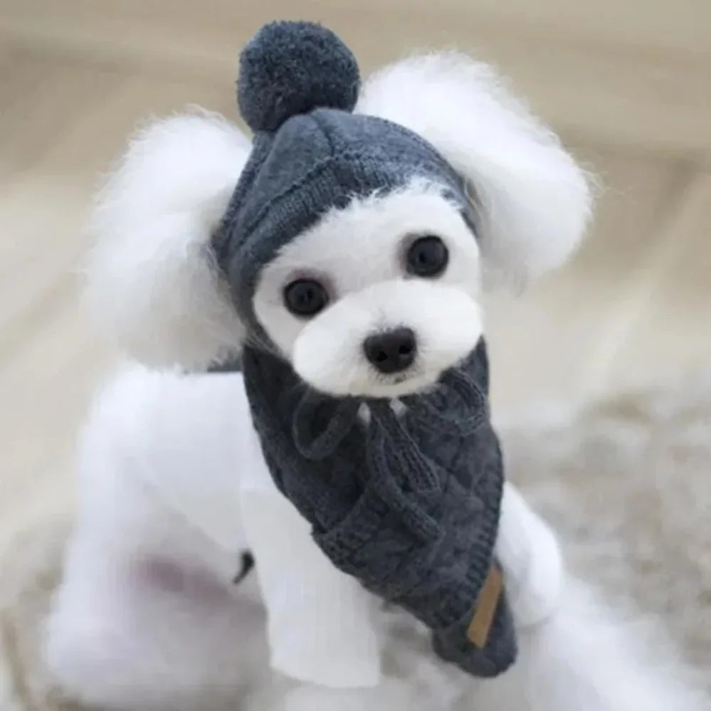 Knitted Winter Hat & Scarf Set for Dogs - We Wuv Pets