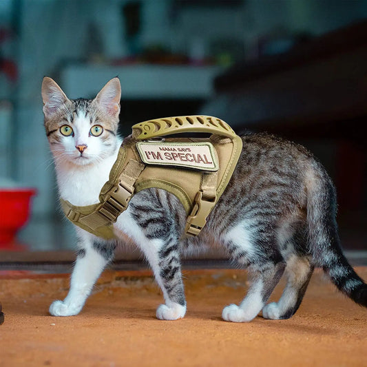 Escape-Proof Cat Walking Harness - We Wuv Pets