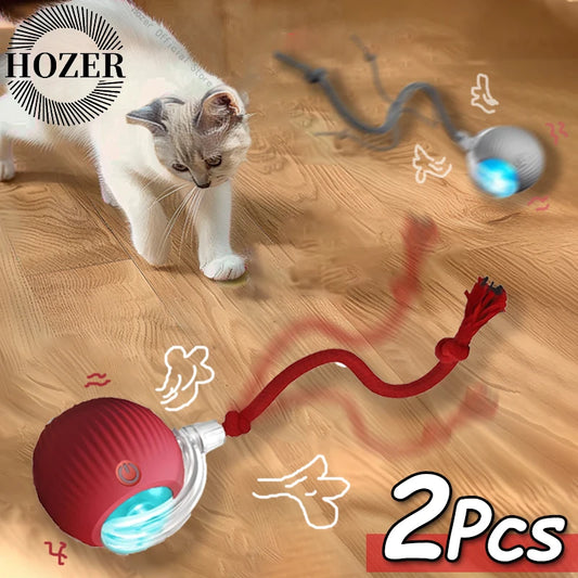 Automatic Rolling Ball Cat Toy - We Wuv Pets