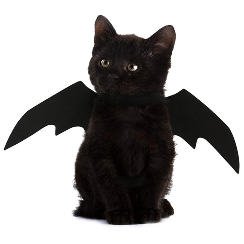 Bat Wings Harness Costume for Cats & Dogs - We Wuv Pets