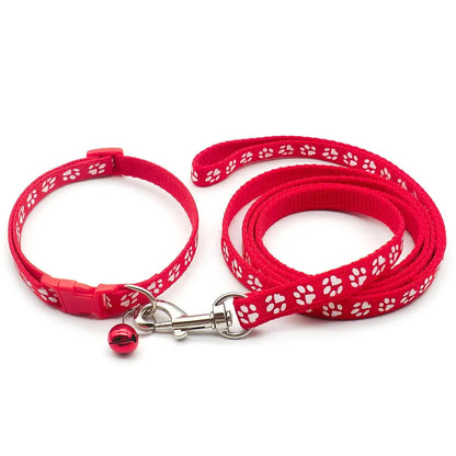 Cute Dog Leash & Collar Set