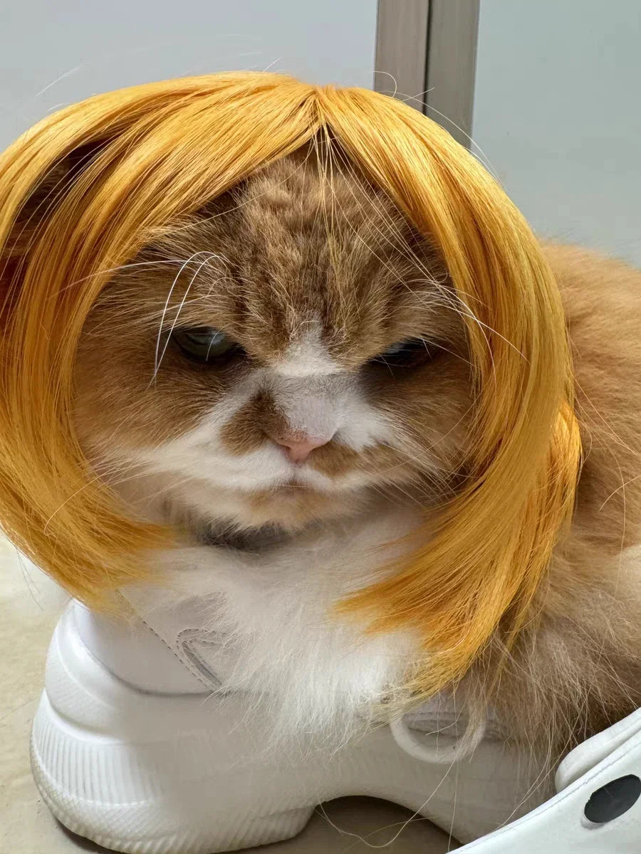 Costume Wig for Cats & Dogs - We Wuv Pets