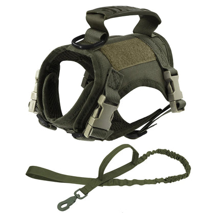 Escape-Proof Cat Walking Harness