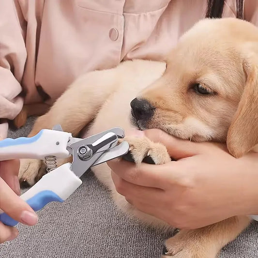 Stainless Steel Nail Clippers for Cats and Dogs - We Wuv Pets