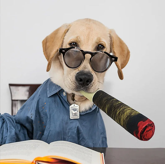 Novelty Cigar Squeaky Dog Toy - We Wuv Pets