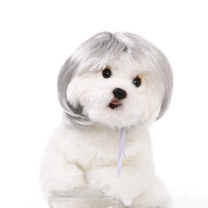 Costume Wig for Cats and Dogs