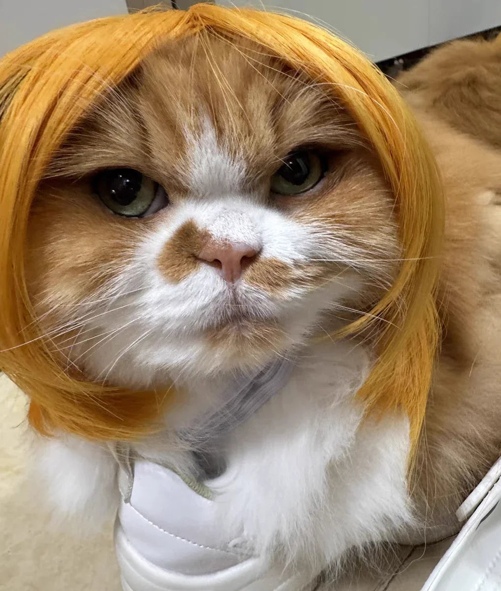 Costume Wig for Cats & Dogs - We Wuv Pets
