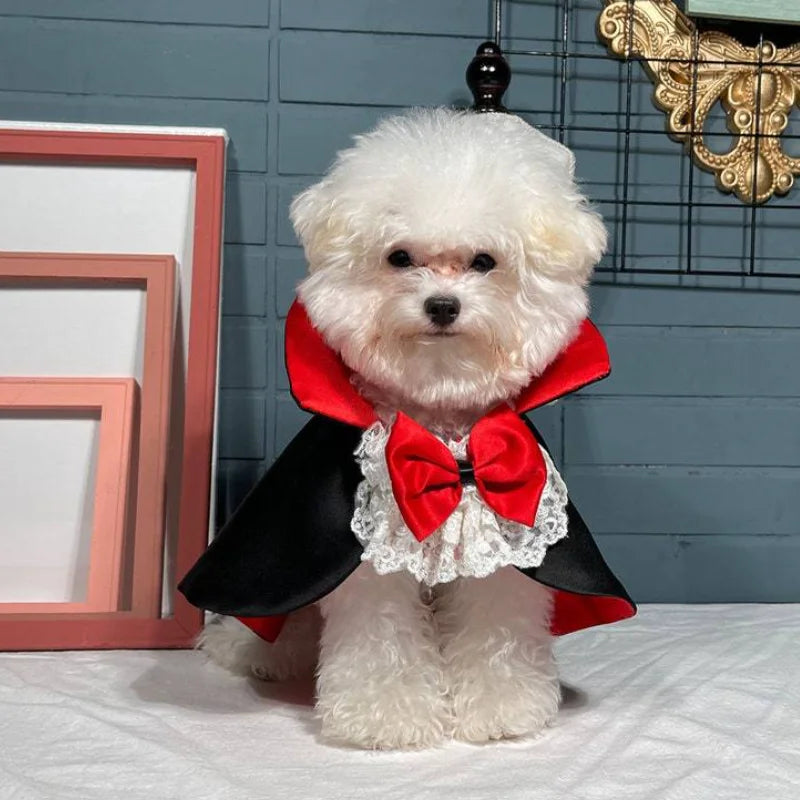 Vampire Cape Costume for Dogs - We Wuv Pets