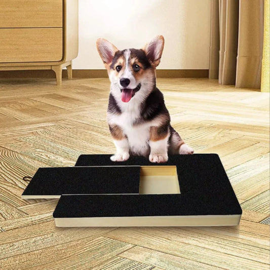 Wooden Cat Scratching Board with Treat Box - We Wuv Pets