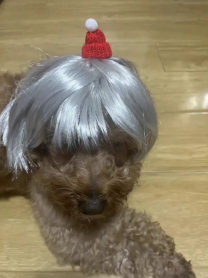 Costume Wig for Cats and Dogs